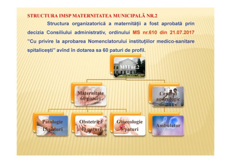 RAPORT-DE-ACTIVITATE-MM-nr-2-12-luni-2017-2-