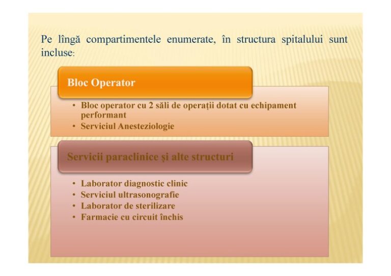 RAPORT-DE-ACTIVITATE-MM-nr-2-12-luni-2017-3-