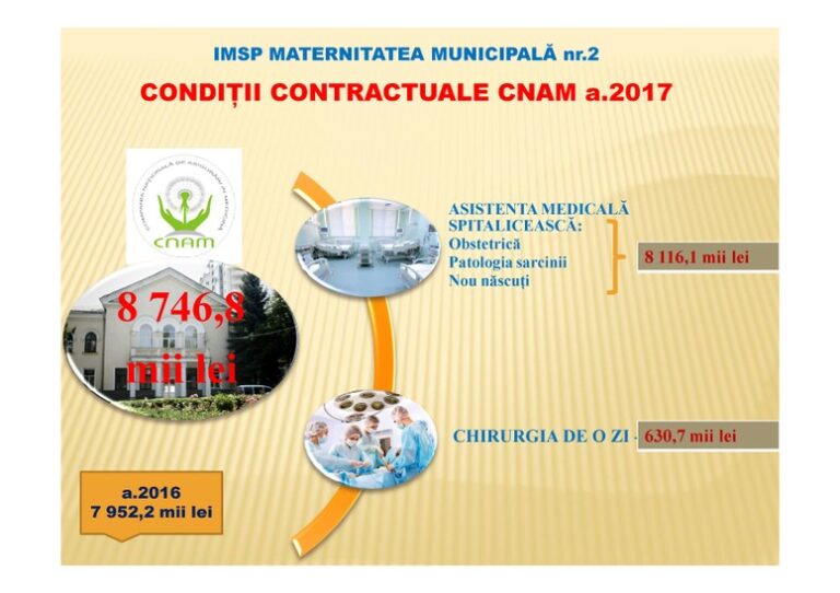 RAPORT-DE-ACTIVITATE-MM-nr-2-12-luni-2017-4-