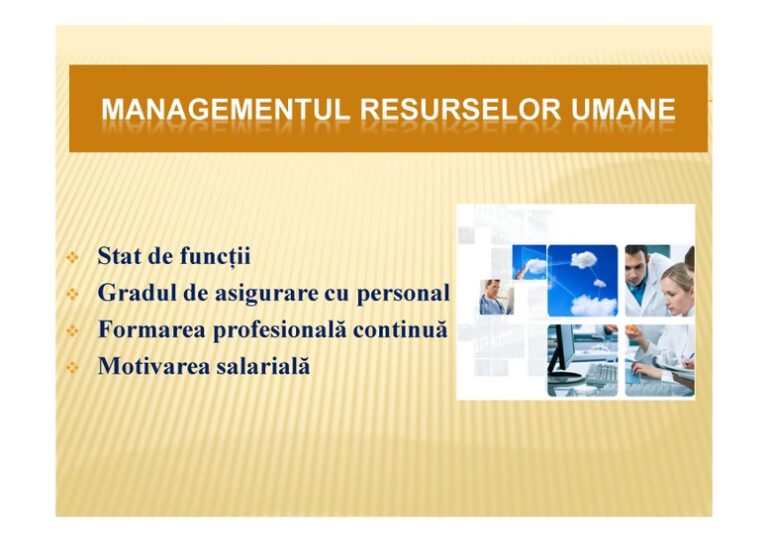 RAPORT-DE-ACTIVITATE-MM-nr-2-12-luni-2017-6-