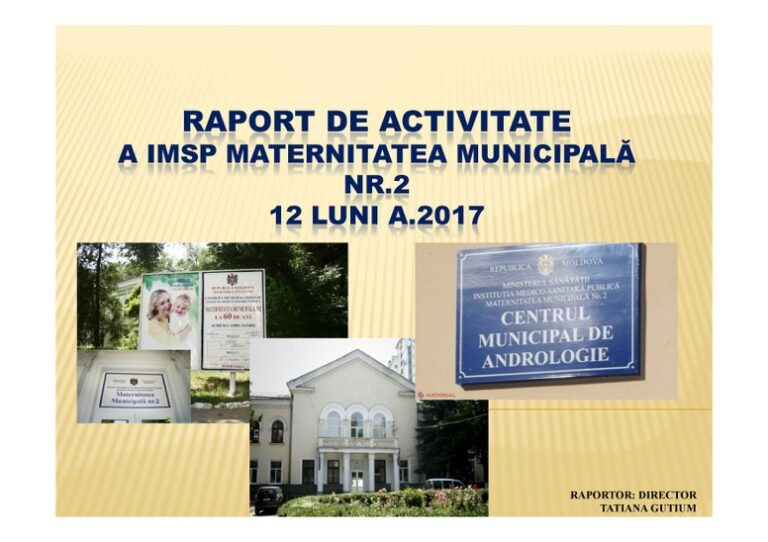 RAPORT-DE-ACTIVITATE-MM-nr-2-12-luni-2017